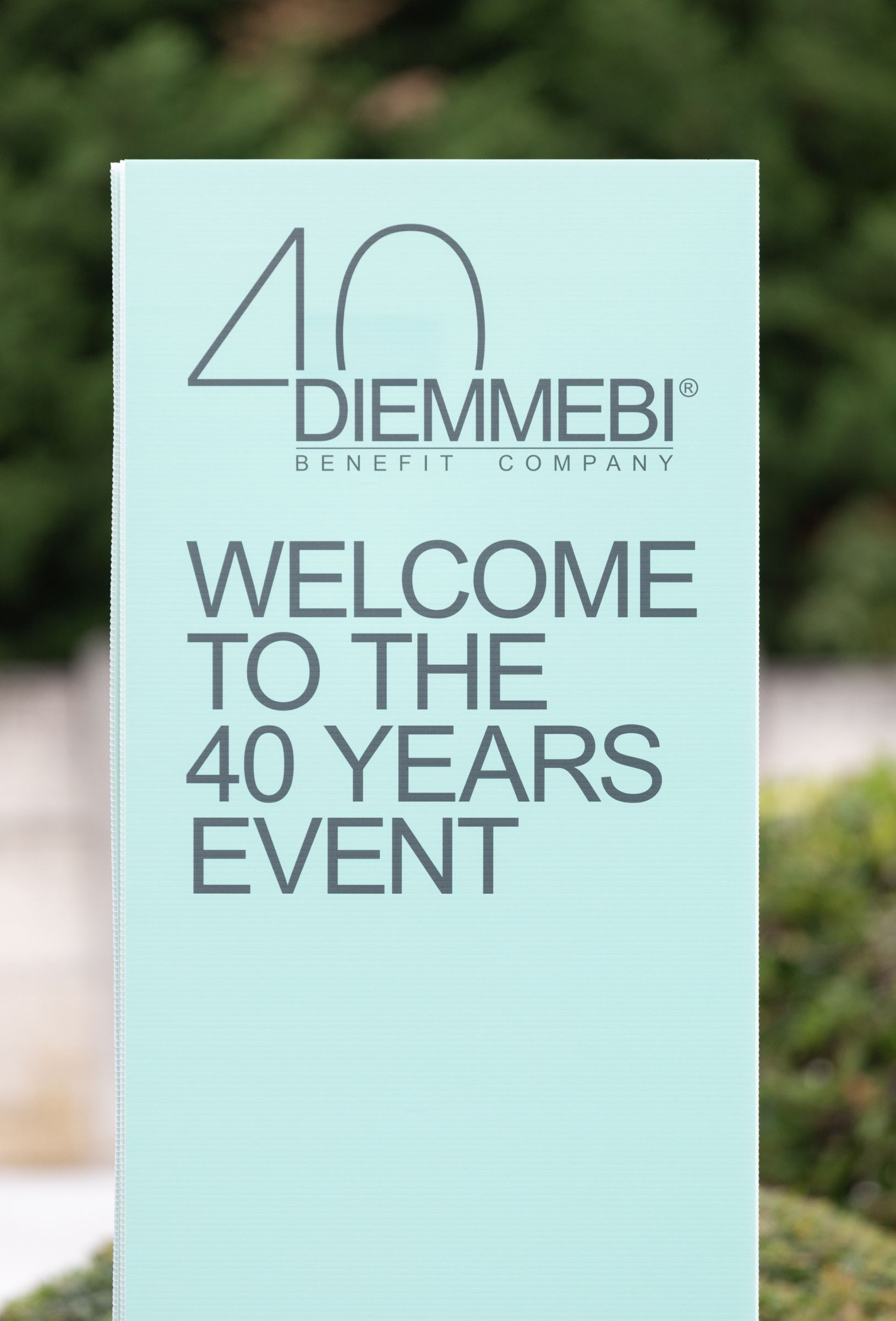 40 anni di diemmebi